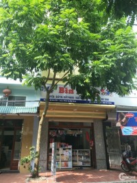 Bán gấp nhà mặt phố Tạ Quang Bửu, Kinh Doanh