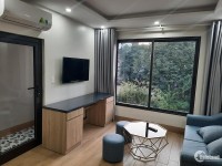Cho thuê căn hộ dt 40m 1 ngủ nội thất rất đẹp giá 8tr ở luôn tại Kim Mã