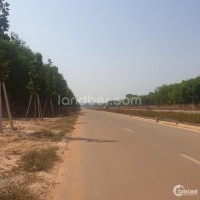 Cần bán gấp đất mặt tiền Mỹ Phước, Tân Định, KP2 Tân Định gần trường Tiểu học.