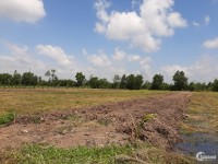 Cần sang lại miếng 3000 m2 đất trang trại tại xã Thạnh Hòa – Bến Lức – Long An
