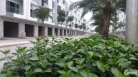 Căn Shophouse Duy Nhất Trục Chính Himlam Green Park Chủ Đầu Tư Ưu Đãi Đặc Biệt