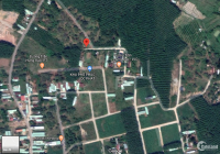 Bán đất 300m2 Thổ Cư tại phường Tiến Thành - Đồng Xoài - Bình Phước