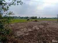 Bán đất thổ cư gần TT Hành chính Huyện Đức Hòa Long An