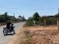 Đất bán mặt tiền đường nhựa 10m dối diện xã phước Thạnh Gò Dầu Tây Ninh