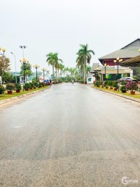 Dự án Quang Minh Green City - Phân khu ECO FORETINA phân lô bán nền tại trung hu