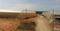 Đất trồng cây sổ đỏ Sông Lũy, Bắc Bình, Bình Thuận chỉ từ 50k/m2