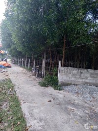 Cần tiền bán đất gần biển thị xã Lagi, Bình Thuận