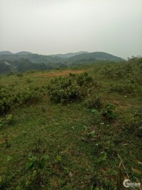 -	Cần bán gấp 2ha đất rừng sản xuất , thôn Dục- Yên Bình- Thạch Thất- Hà Nội