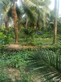 BÁN GẤP 1000 M2  đất  vườn tại Âp Bình Phong , xã Tân Mỹ Chánh , Mỹ Tho TG