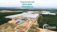Bán đất giá chỉ 60 ngàn/1m2 đất Huyện Bắc Bình Bình Thuận, giá quá rẻ.