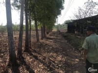 Bán 1ha đất Vườn xã Bàu Cạn gần sân bay Long Thành