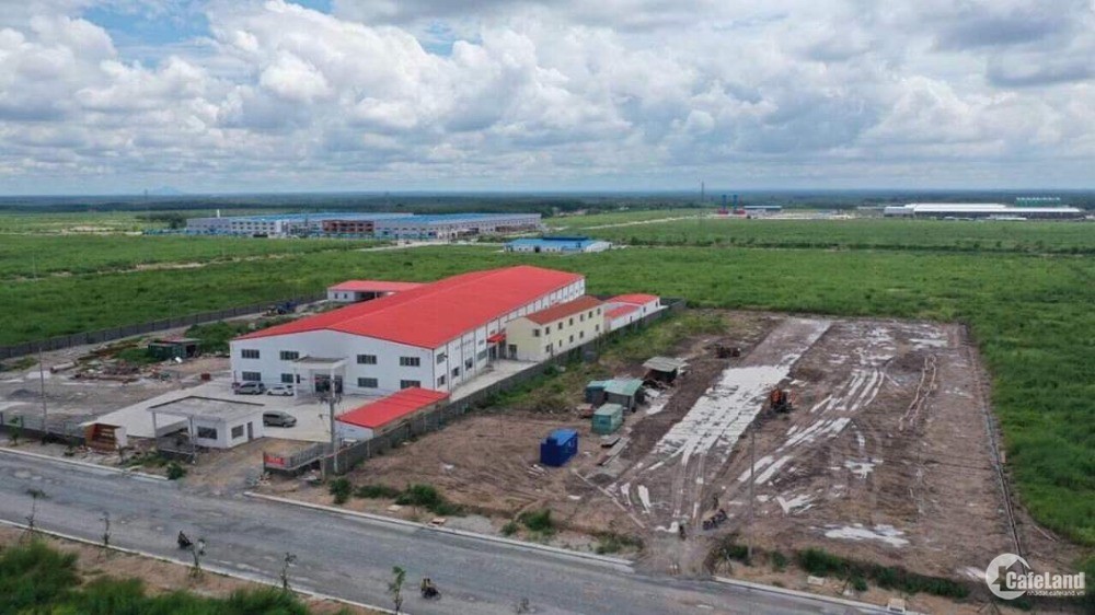 Sale bung nốc lô đất 1000m2 tại Bàu Bàng- Bình Dương