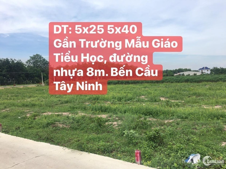 Bán gấp 2 lô đất Đường nhựa 9m. Khu vực Xã Tiên Thuận, Bến Cầu, Tây Ninh