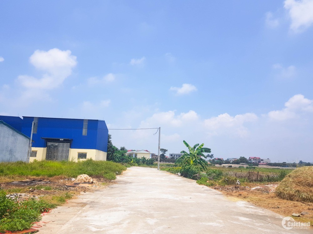 Đất thổ cư giá rẻ Đồng Bụt – đất Quốc Oai – gần Bệnh viện nhi trung ương II