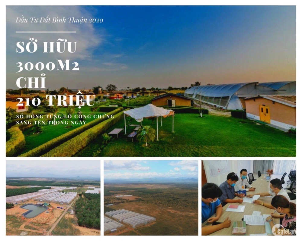 Đất Sinh Thái Bình Thuận Đã Có Sổ, 4.000m2 – 280 Triệu.