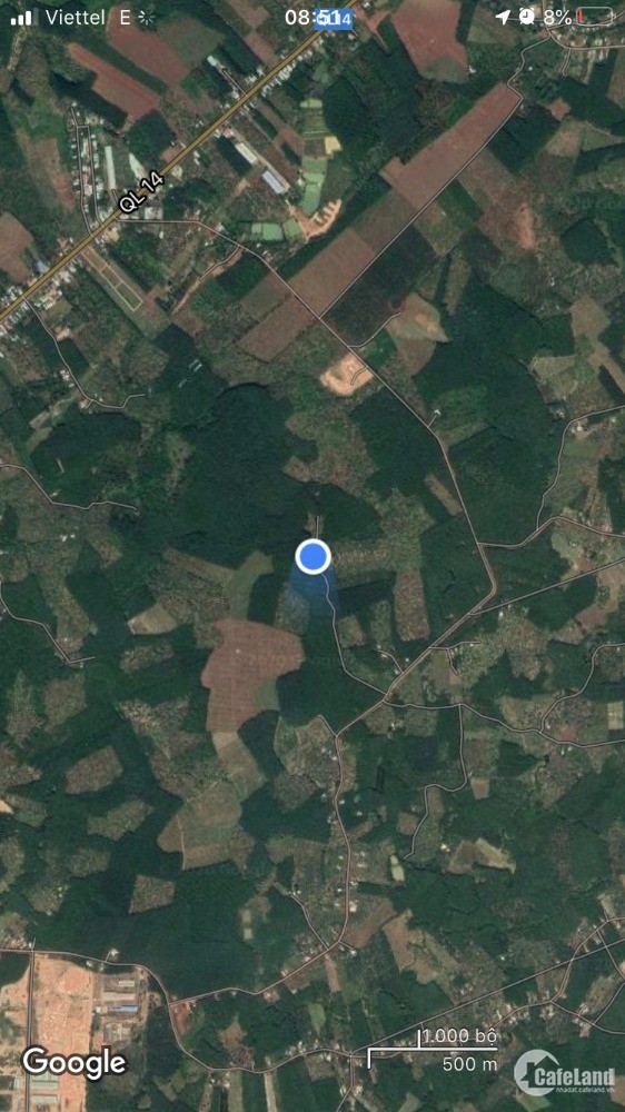 Bán Vườn cao su già 4,6 ha gần QL14 - Đồng Tiến, Đồng Phú Giá 4,6 tỷ