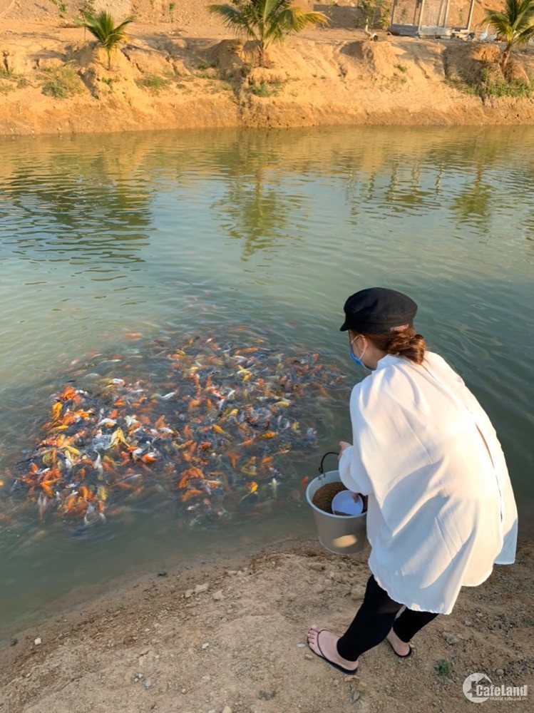 BÁN KHU SINH THÁI NINH HOÀ - KHÁNH HOÀ