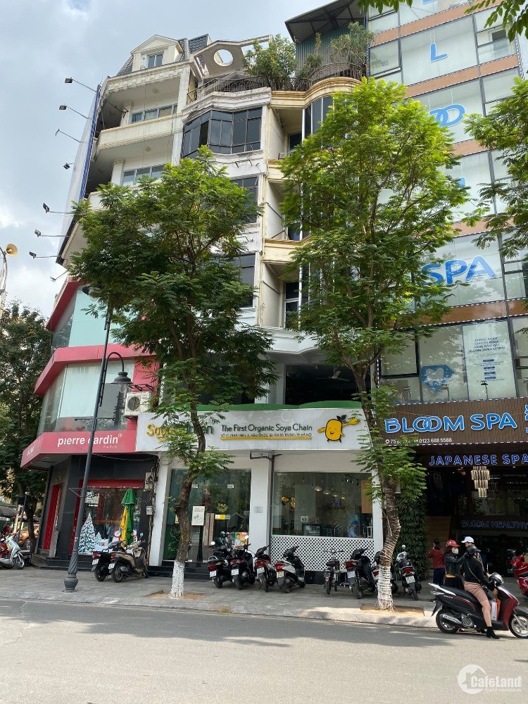 Cho thuê nhà MP Nguyễn Du 50m2x4 tầng, mặt tiền 4m, giá 55tr, nhà thông