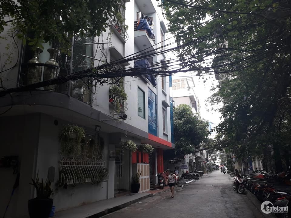 Cho thuê nhà khu phân lô ngõ 61 Trần Quang Diệu, 70m2, thông sàn, ngõ ô tô.