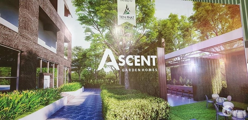 Dân tình đổ nhau cọc dự án Ascent Garden Homes với giá 40trr/m2 bao gồm VAT
