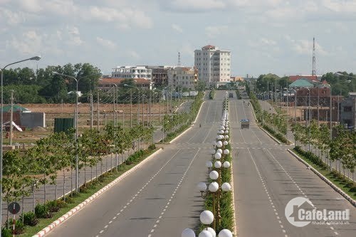 Dự án Phân Lô MT Nguyễn Đôn Tiết, P.Cát Lái, Q.2, DT: 7450m2, Giá 26 triệu/m2