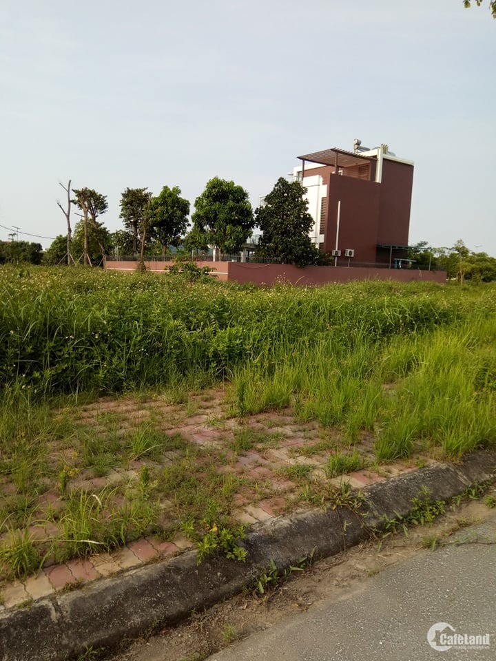 Bán gấp lô đất xây biệt thự tại đô thị New City Phố Nối, Yên Mỹ, Hưng Yên