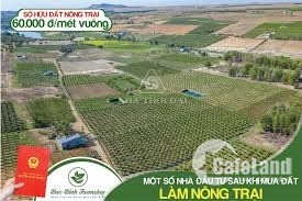 Đất nông nghiệp FramStay Bắc Bình - Bình Thuận