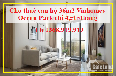 Cho thuê căn hộ chung cư Gia Lâm cực đẹp nhà mới sạch sẽ LH 0368.919.919