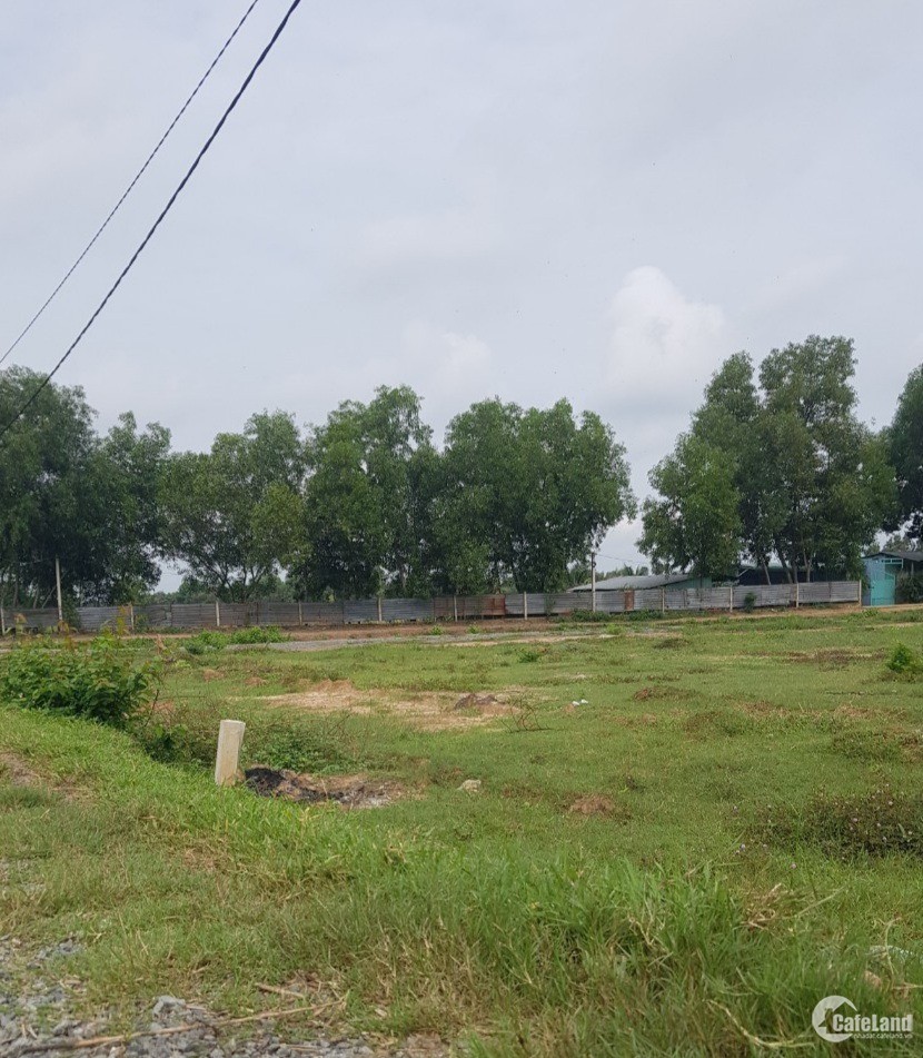Bán gấp đất tại xã Tân Thông Hội- sổ hồng riêng