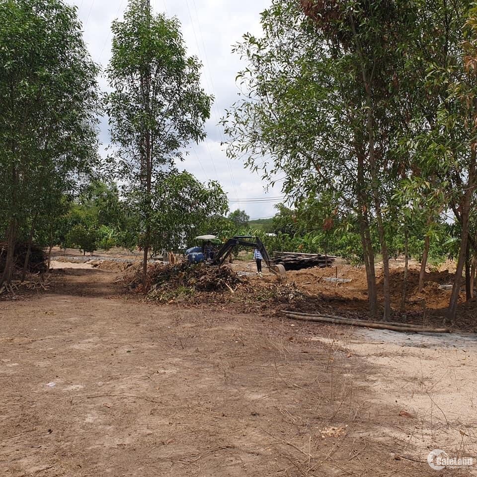 Bán lô đất vườn ngay Ngã Ba Khánh Phú- Khánh Vĩnh.
