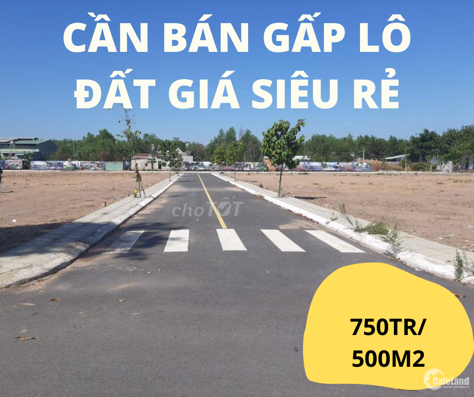 GIA ĐÌNH TÔI KẸT VỐN BÁN LÔ GÓC 520m2, VỊ TRÍ CỰC ĐẸP XÂY BIỆT THỰ ĐỐI DIỆN DÃY