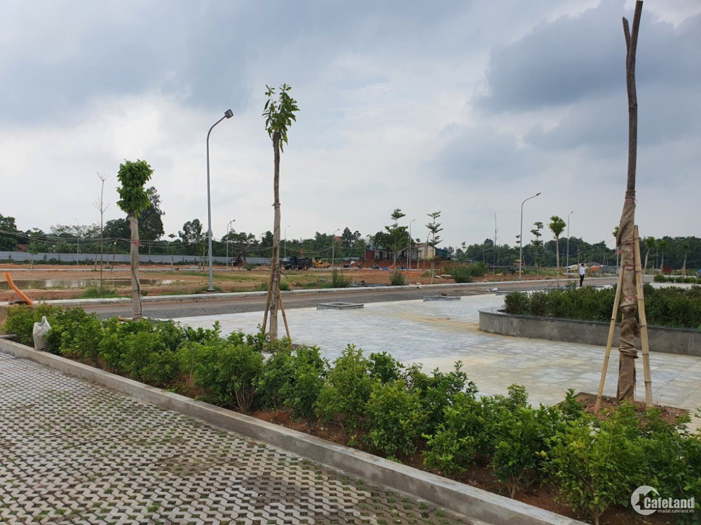 Vân Hội City - Vĩnh Yên ra hàng đợt 1 85 ô đất nền đẹp nhất dự án