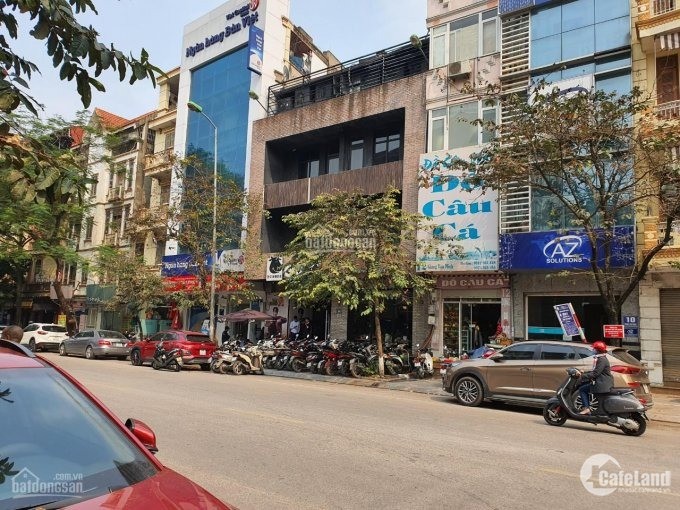 Bán đất đường Giang Văn Minh, Ba Đình, 195m, mặt tiền 5m,nở hậu giá 26.5 tỷ.