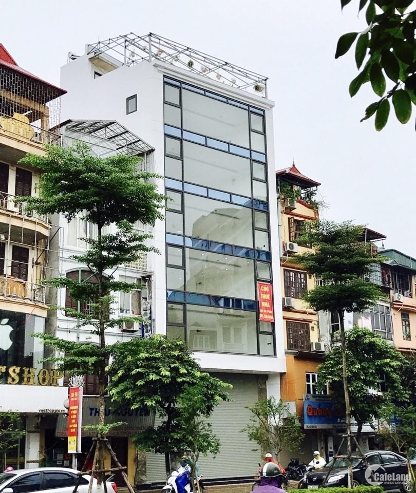 Cần bán gấp nhà mặt phố Tôn Đức Thắng 100m2 giá cực rẻ chỉ 270tr/m2