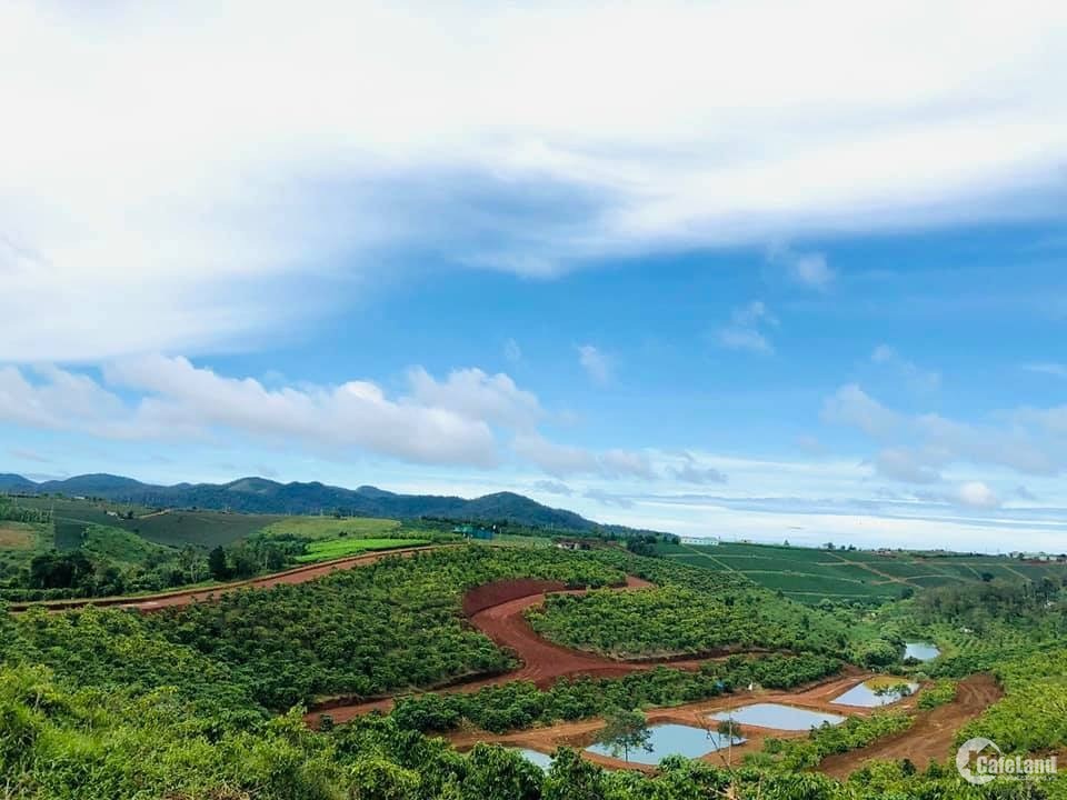 Biệt thự đồi sinh thái view hồ tự nhiên Bảo Lộc, cách đồi chè Tâm Châu 2km