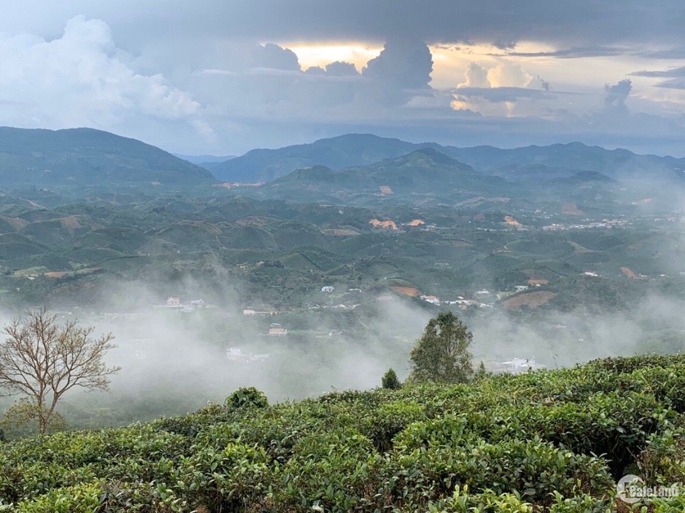 Bán gấp lô đất chính chủ ngay  view đồi mây cách Trung tâm TP Bảo Lộc chỉ 10km