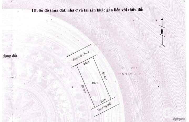 Đất Bình Phước Chính Chủ 1000m2, Sổ Sẵn, Sang Tên Công Chứng Trong Ngày