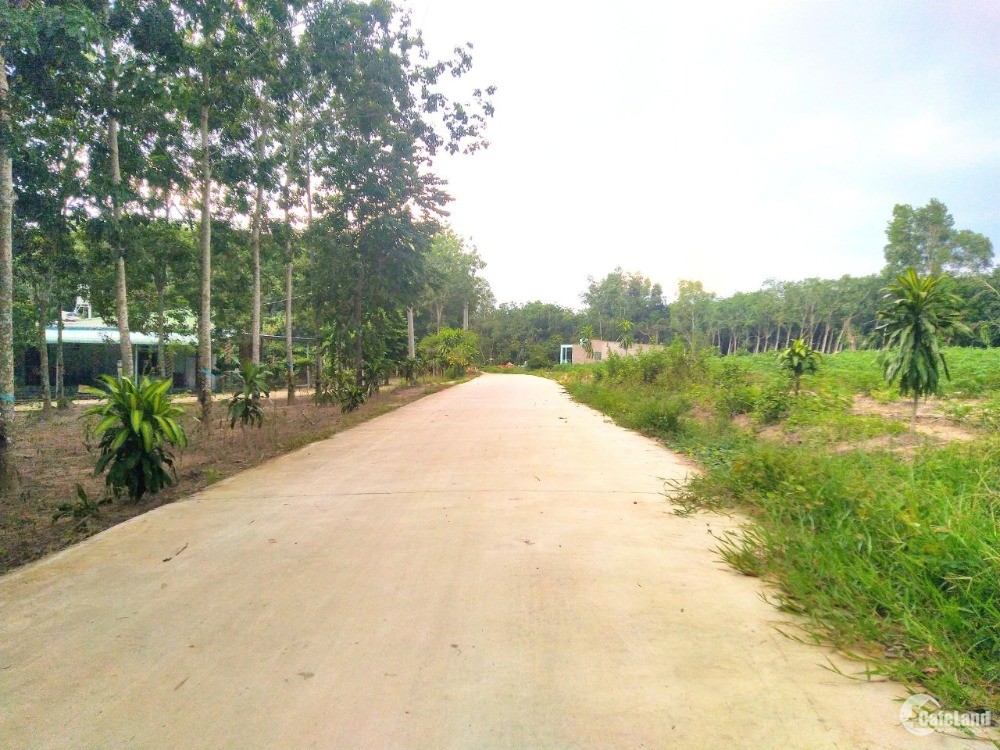 Còn 2 sào đất quy hoạch ONT 100% tại Phước Bình, Long Thành, Đồng Nai