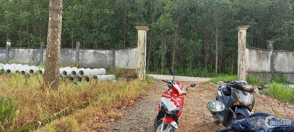 Đất chính chủ Long Thành - Đồng Nai, sổ riêng