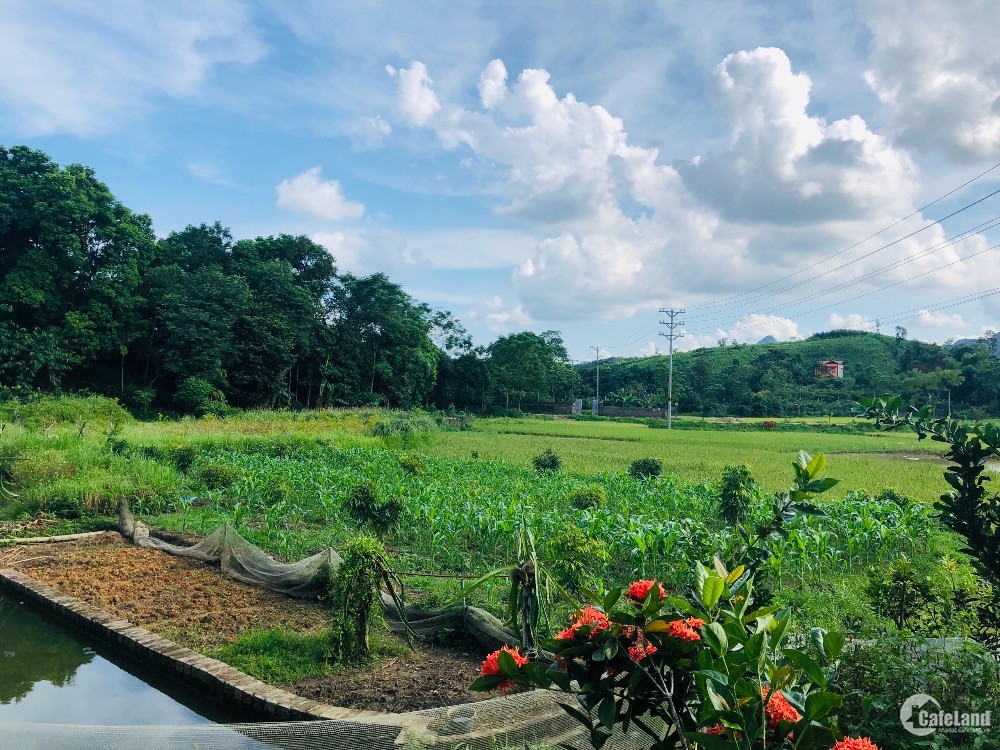 Bán đất thổ cư siêu đẹp giá siêu rẻ tại Lương Sơn, Hòa Bình diện tích 2815m2.