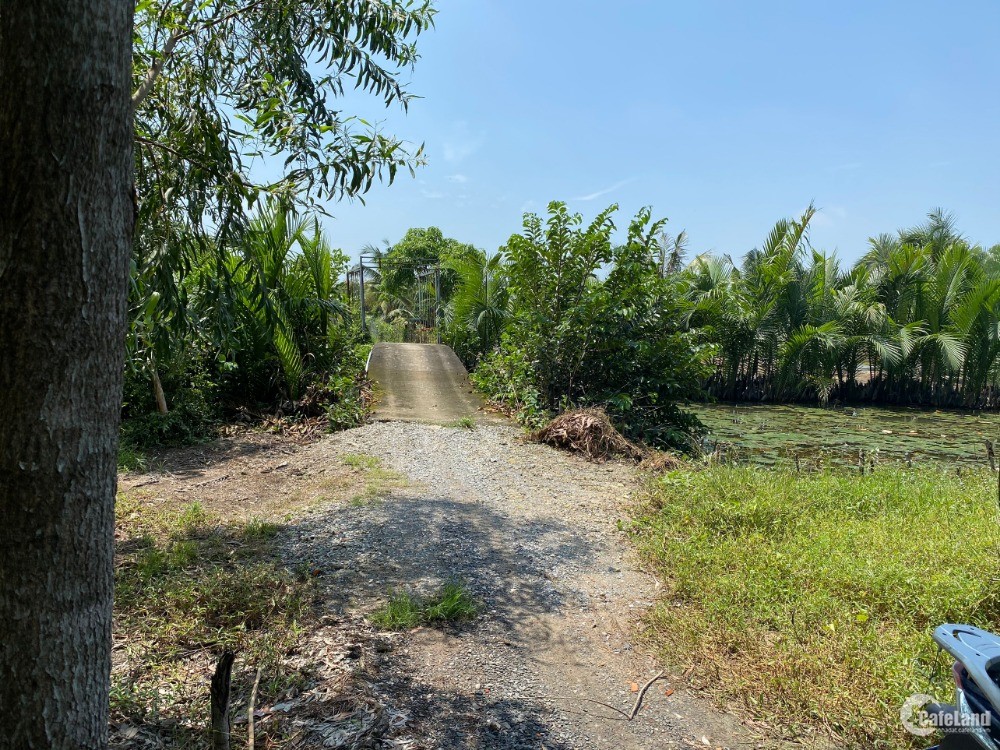 Bán đất ven sông Phước Khánh - Nhơn Trạch, đường ô tô, khu dân cư, SHR, giá đầu