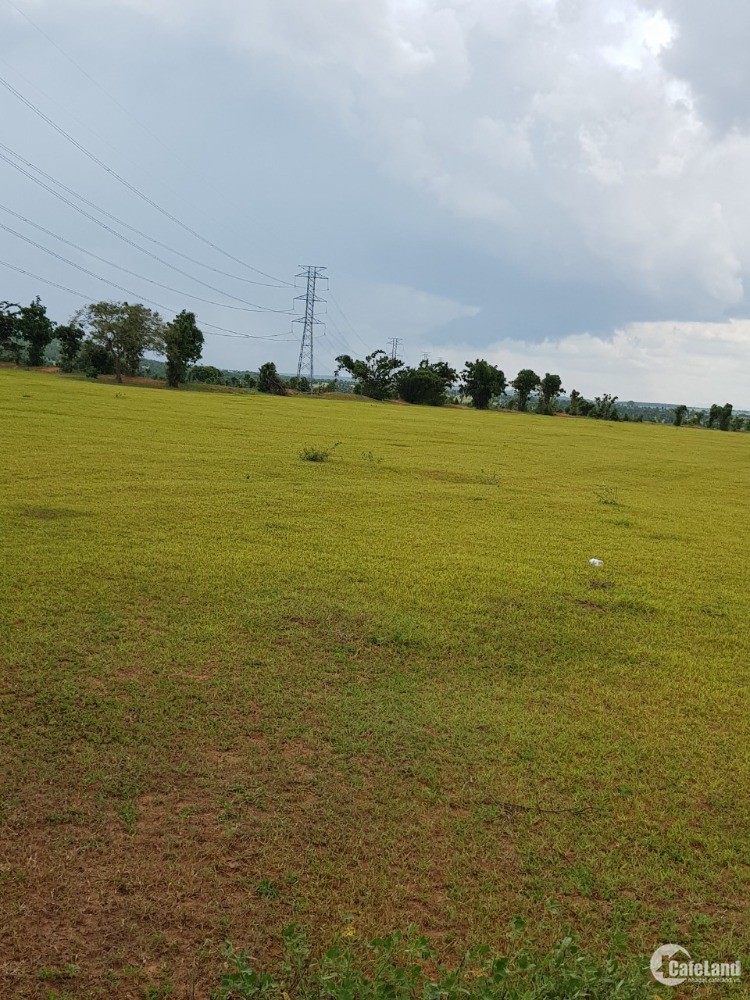 Bán lô đất nông nghiệp hồng thái gần 2 tuyến liên huyện chỉ 70k/m Lh 0385230667