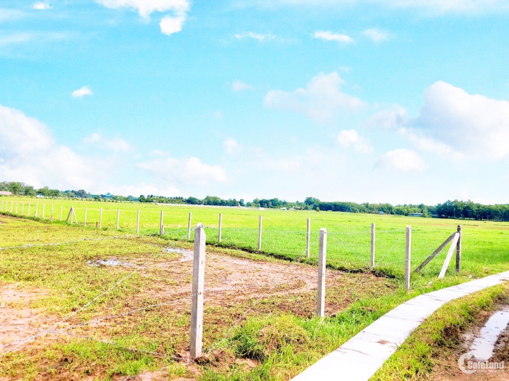 Bán mảnh đất Củ Chi 500m với sổ hồng riêng ngay Tỉnh lộ 7 huyện Củ Chi