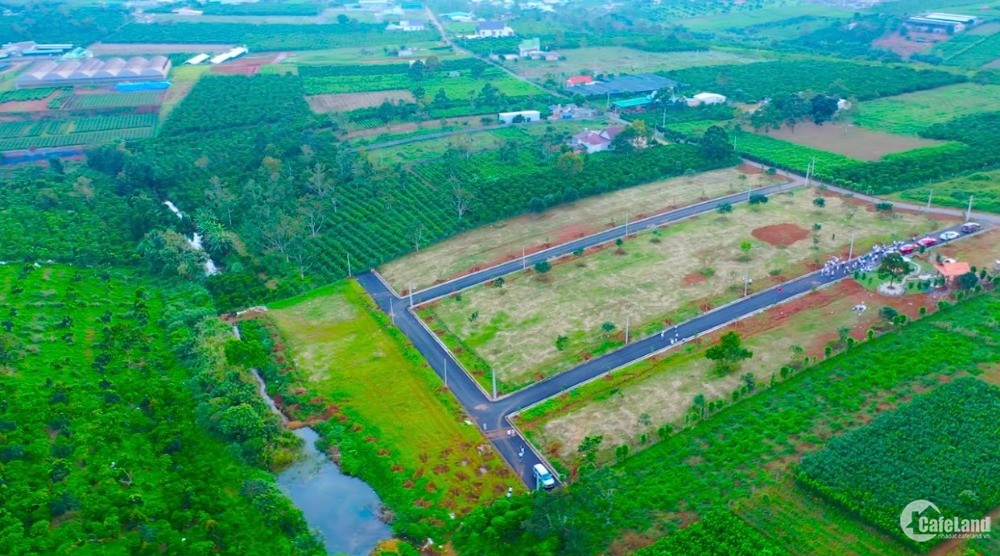 Đất nền Biệt thự TP Bảo Lộc, sổ hồng riêng full thổ cư, xây dựng homestay