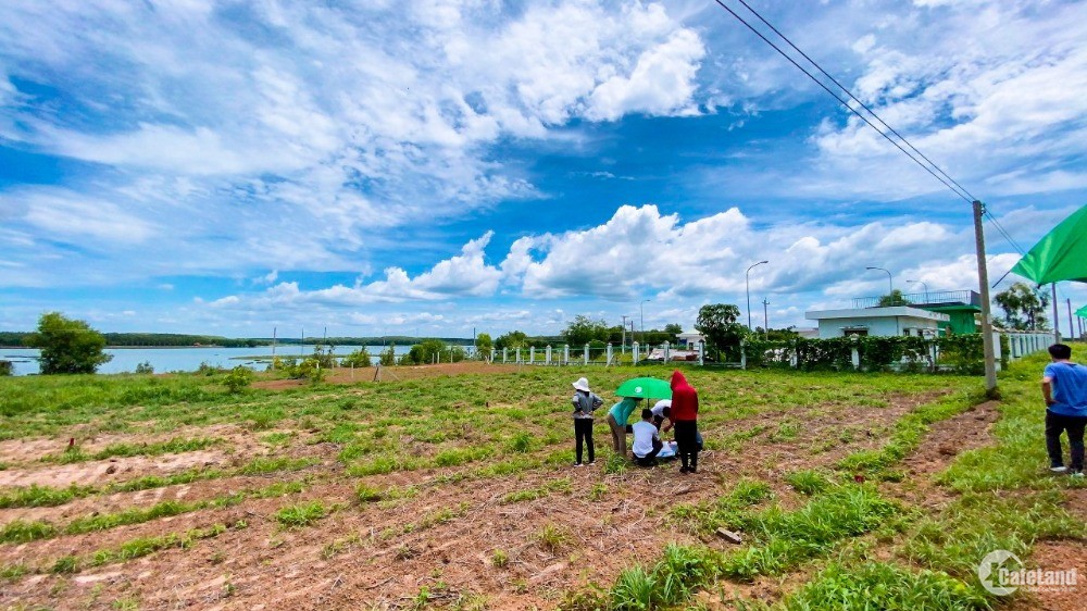Đất xây farmstay ven hồ Phước Hòa, diện tích lớn, đường lộ đầy đủ, gần KDC, KCN