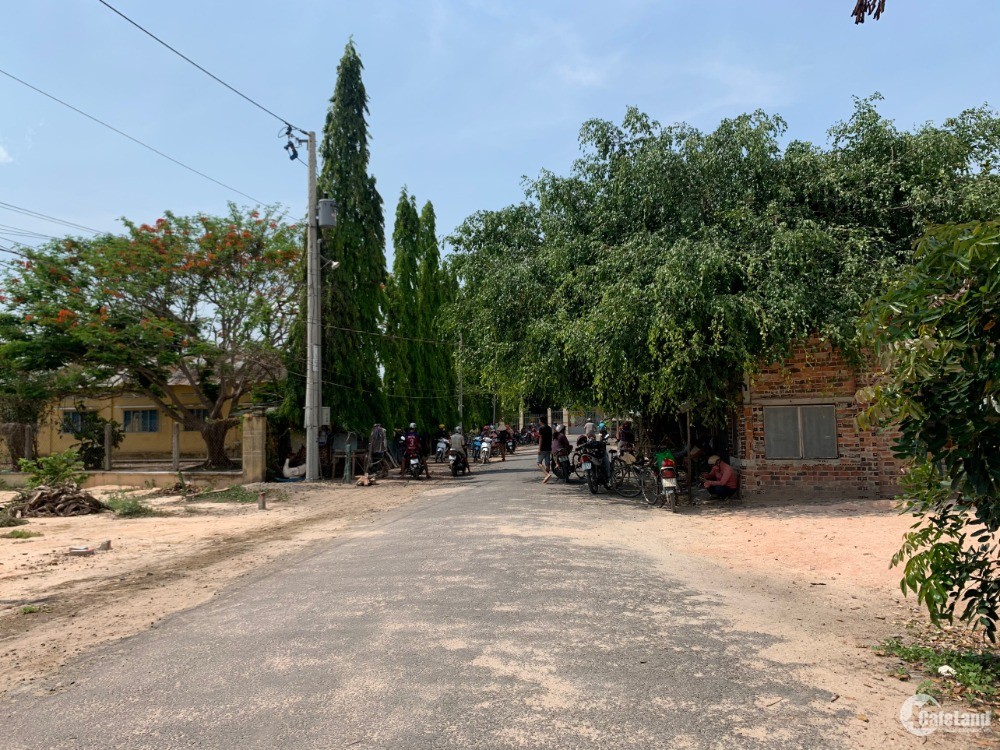 Cần Bán lô đất ngay Trường Tiểu Học, Mẫu Giáo Tiên Thuận B,Bến Cầu,Tây Ninh.