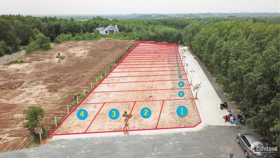 Đất nền mặt tiền Nguyễn Hữu Cảnh, thành phố mới Nhơn Trạch, giá chỉ 19 triệu/m2