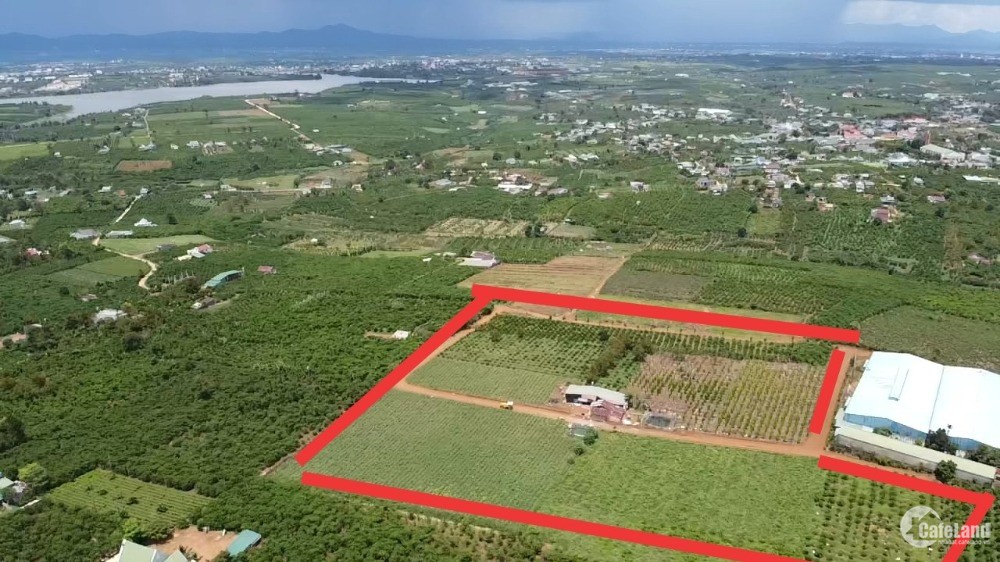 2,6ha đất thôn 5 xã Lộc Quảng _ Bảo Lâm