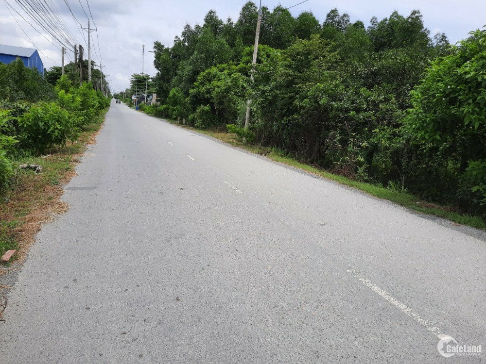 Bán đất mặt tiền đường xãThạnh Phú, Vĩnh Cữu. 40*60m. SHR, Giá chỉ 10 tỷ.