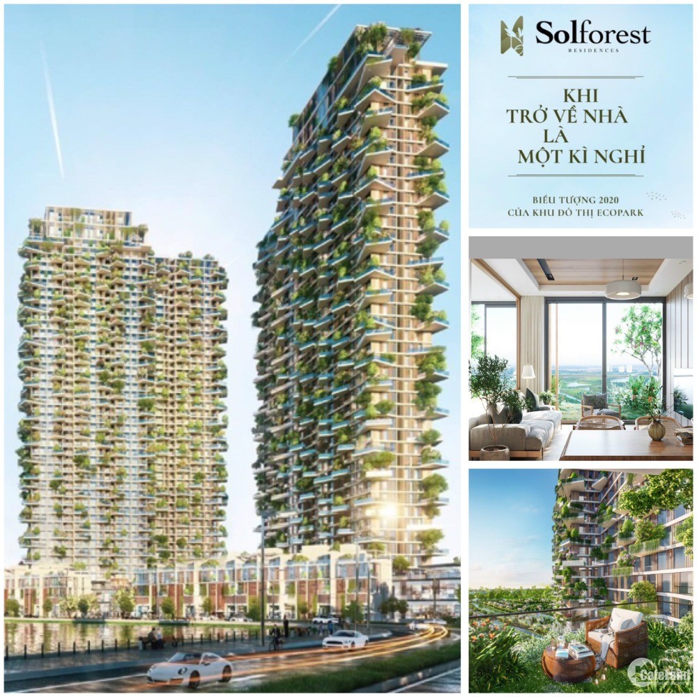 Sol Forest - Tòa tháp đẹp nhất Ecopark chỉ cần có 300 triệu bạn sở hữu ngay 2PN